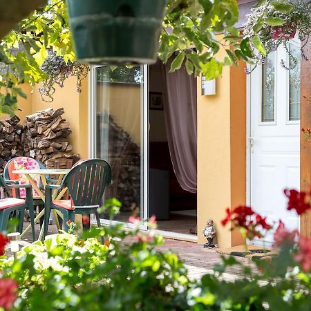 Gites De Charme Chez Christine Ottrott Dış mekan fotoğraf